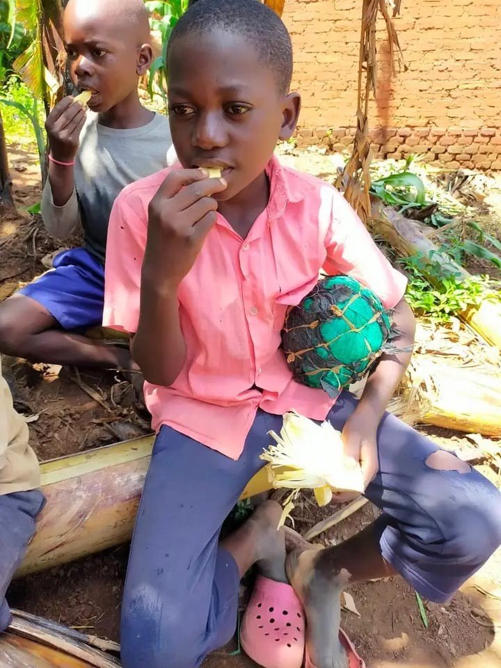 Feeding and Nutrition